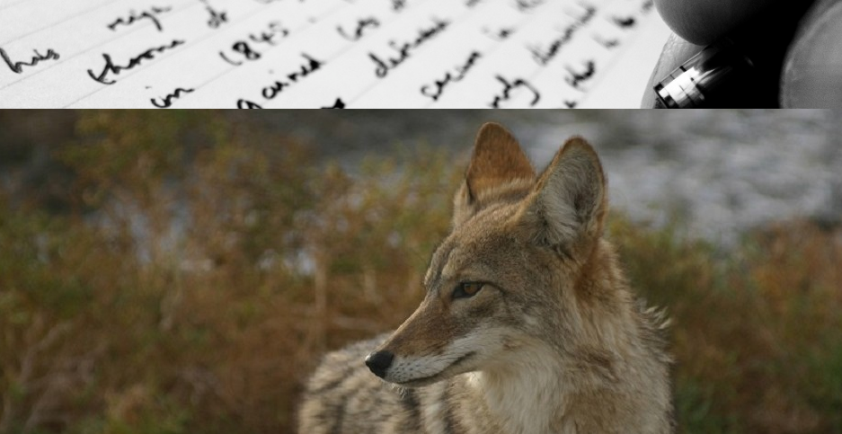 Jan Smitowicz's Author Blog